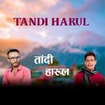 Tandi Harul