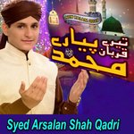 Tu Waliyon Ka Hai Badsha