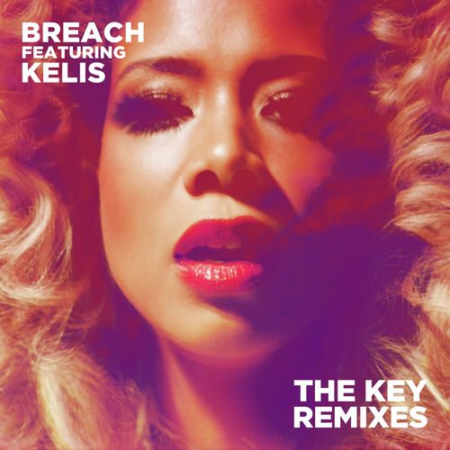 The Key (feat. Kelis) (Remixes)_poster_image