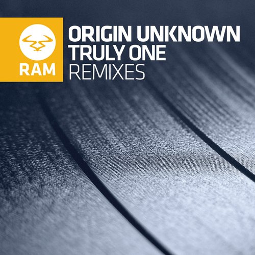 Truly One (Remixes)_poster_image