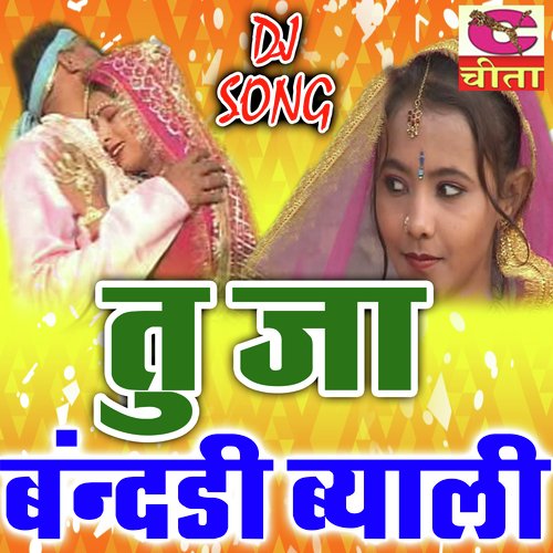 Tu Ja Bandhi Byahli (Haryanvi DJ Song)