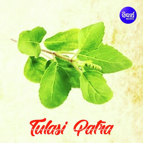 Tulasi Patra