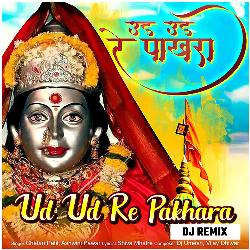 Ud Ud Re Pakhara (DJ Remix)-A1ApACNzA1g