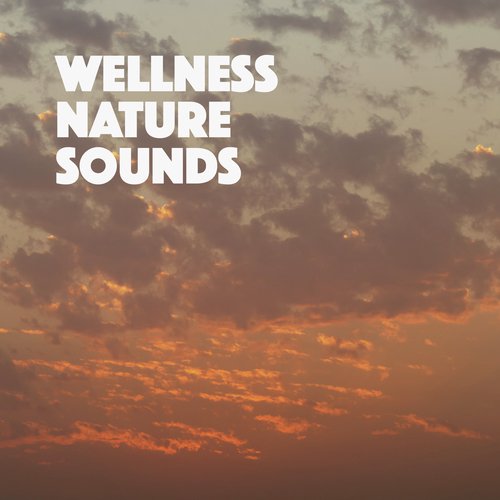 Wellness Nature Sounds