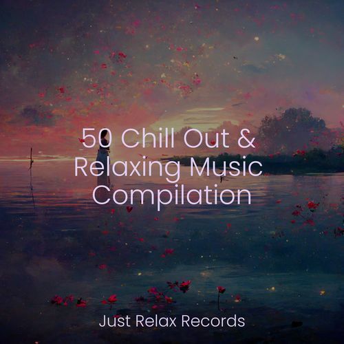 50 Chill Out & Relaxing Music Compilation