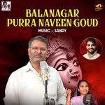 Balanagar Purra Naveen Goud
