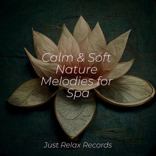 Calm & Soft Nature Melodies for Spa