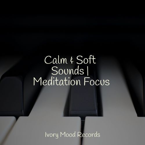 Calm & Soft Sounds | Meditation Focus_poster_image