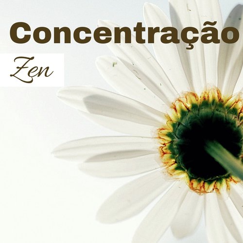 Concentração Zen - Alcançar a Paz Interior, Música Relaxante para Massagens_poster_image