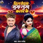 Dil Chhedata Suga Luga Colour Ke