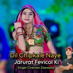 Dil Chipkale Naye Jarurat Fevicol Ki