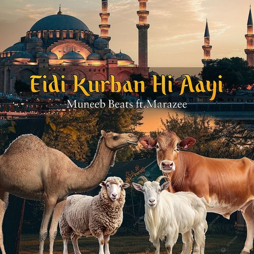 Eidi Kurban Hi Aayi