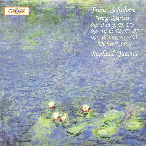 String Quartet No. 12 In C Minor, D. 703: Allegro assai