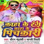 Kaha Ke Rang Kaha Ke Pichkari