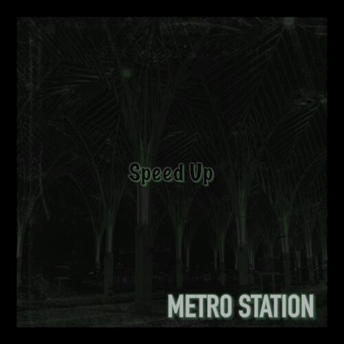 METRO STATION PHONK (speed up)