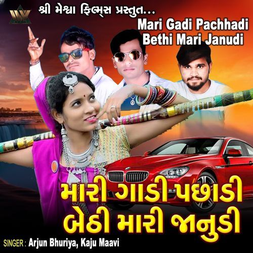 Mari Gadi Pachhadi Bethi Mari Janudi