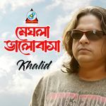 Meghla Bhalobasha artwork