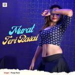 Murat Teri Basai