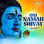 Om Namah Shivay Unplugged