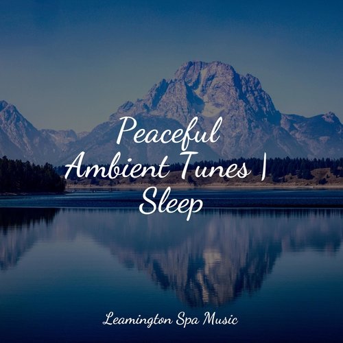 Peaceful Ambient Tunes | Sleep_poster_image