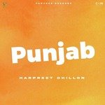 Punjab artwork