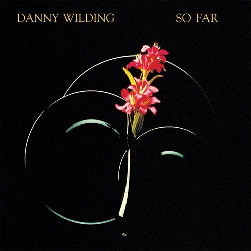 Danny Wilding