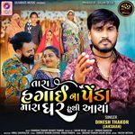 Tara Hagai Na Peda Mara Ghar Huthi Aaya