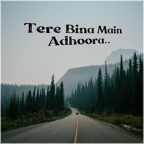 Tere Bina Main Adhoora