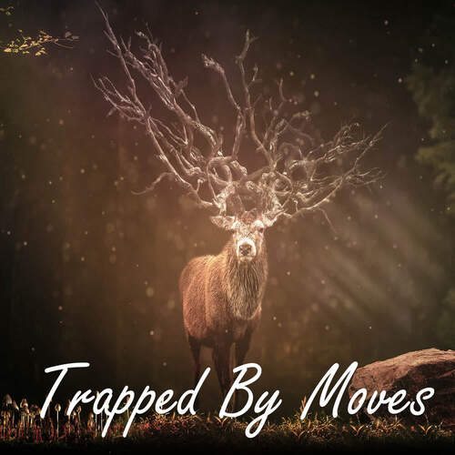 Trapped By Moves