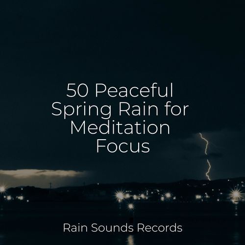 50 Peaceful Spring Rain for Meditation Focus