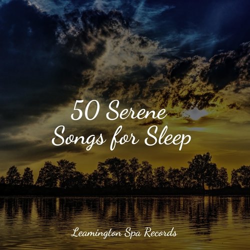 Sleep Music cover art