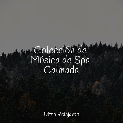 Colección de Música de Spa Calmada