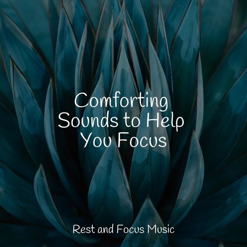 Comforting Sounds to Help You Focus_poster_image