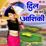 Dil Tod Kyu Kare Ashiqi