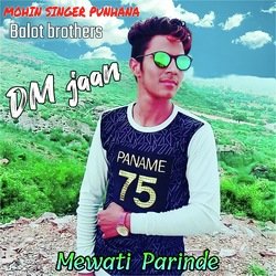 DM jaan Ansar ki (Mewati song)-IDBaeT52VVo