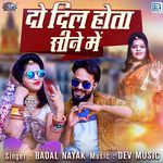 Do Dil Hota Shine Me