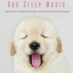  Dog Music Dreams