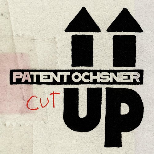 Dr Zug (fahrt us dr Stadt) cover art