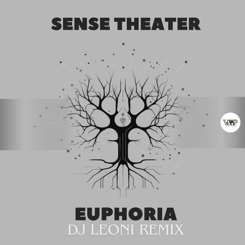 Euphoria (Dj Leoni Remix) cover art