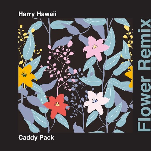 Flower (Harry Hawaii Remix)_poster_image