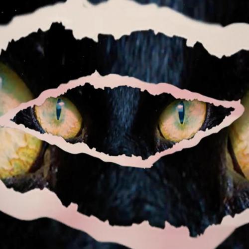 Ghosts After Night Time