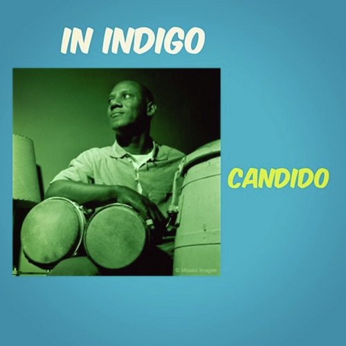 In Indigo_poster_image