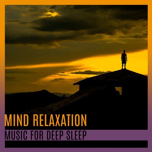 Mind Relaxation: Music for Deep Sleep, Evening Meditation, Dreaming, Trouble Sleeping Healing_poster_image