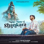 Namo Namo Ji Shankara