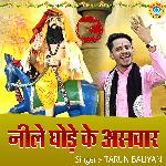 Neele Ghode Ke Aswar