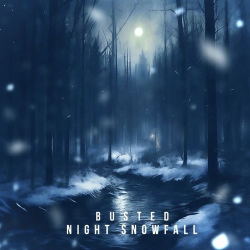 Night snowfall_poster_image