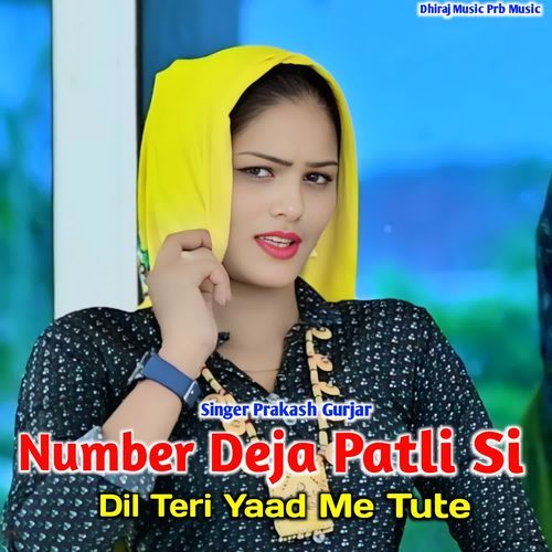 Number Deja Patli Si Dil Teri Yaad Me Tute
