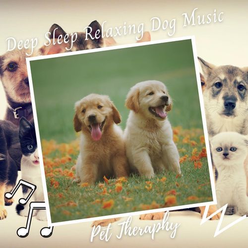 Sleepy Dogs cover art