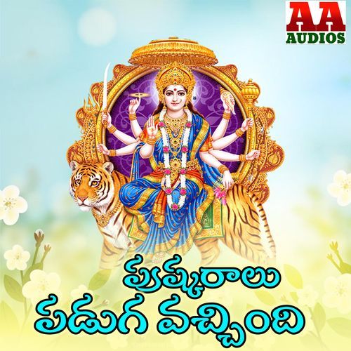 Pushkaralu Paduga vachindi