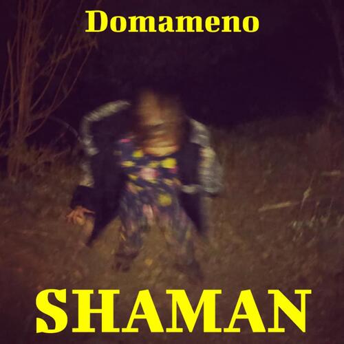 Shaman cover art